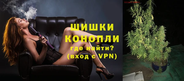mix Богородицк
