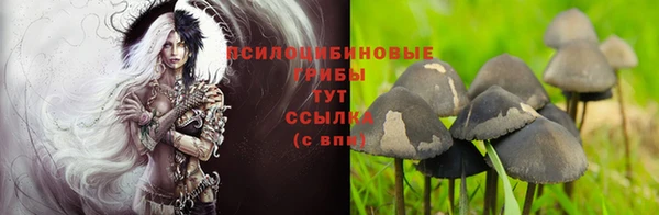 каннабис Белоозёрский
