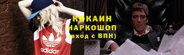 гашиш Богданович