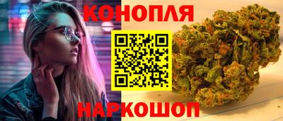 индика Кандалакша