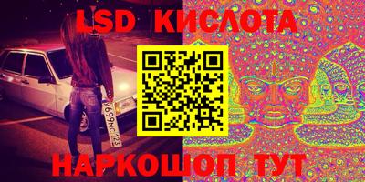 индика Кандалакша