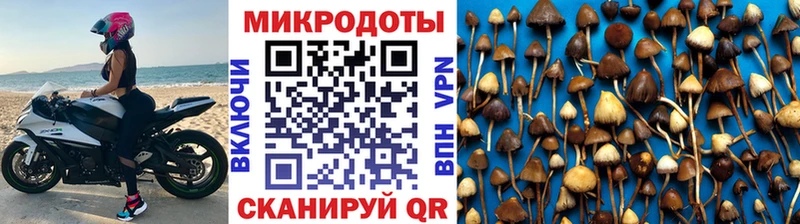 Псилоцибиновые грибы Cubensis  Армавир 