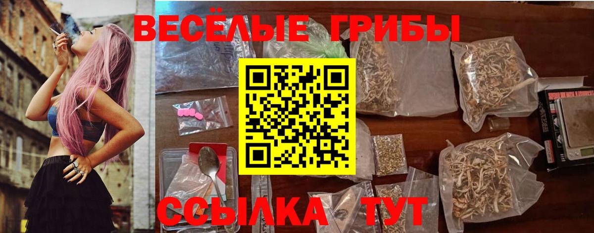 Армавир  дарнет шоп  Вход с VPN  Псилоцибиновые грибы Psilocybe  Галлюциногенные грибы ЛСД 