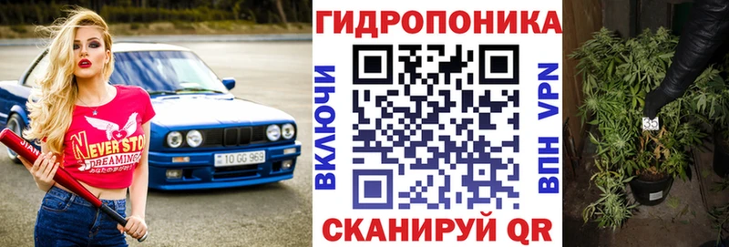 Бошки марихуана план  цены наркотик  Армавир 